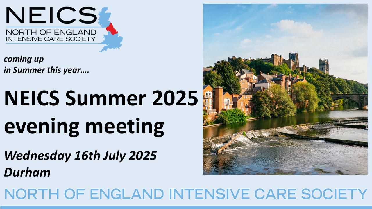 NEICS Summer Evening Meeting 2025 Flyer