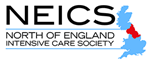 NEICS Logo